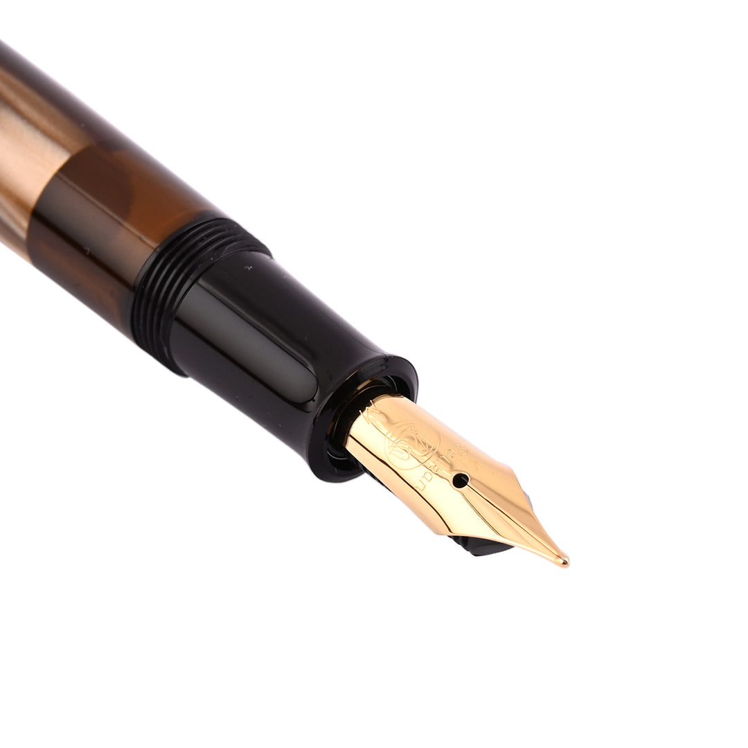 Pelikan M200 Brown Marbled Fountain Pen|Shop Online at Makoba |Pelikan