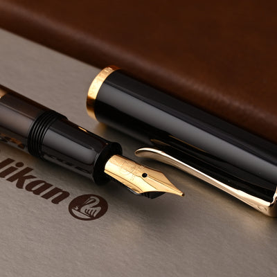 Pelikan M200 Fountain Pen - Brown Marbled GT 14