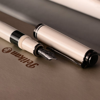 Pelikan M670 Fountain Pen - Warm Grey (Special Edition) 8