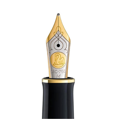 Pelikan M800 18K Gold Fine Nib Unit - Bicolour 2