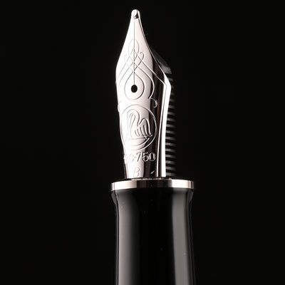 Pelikan M805 Fountain Pen - Metal Sleeve (Special Edition) 13