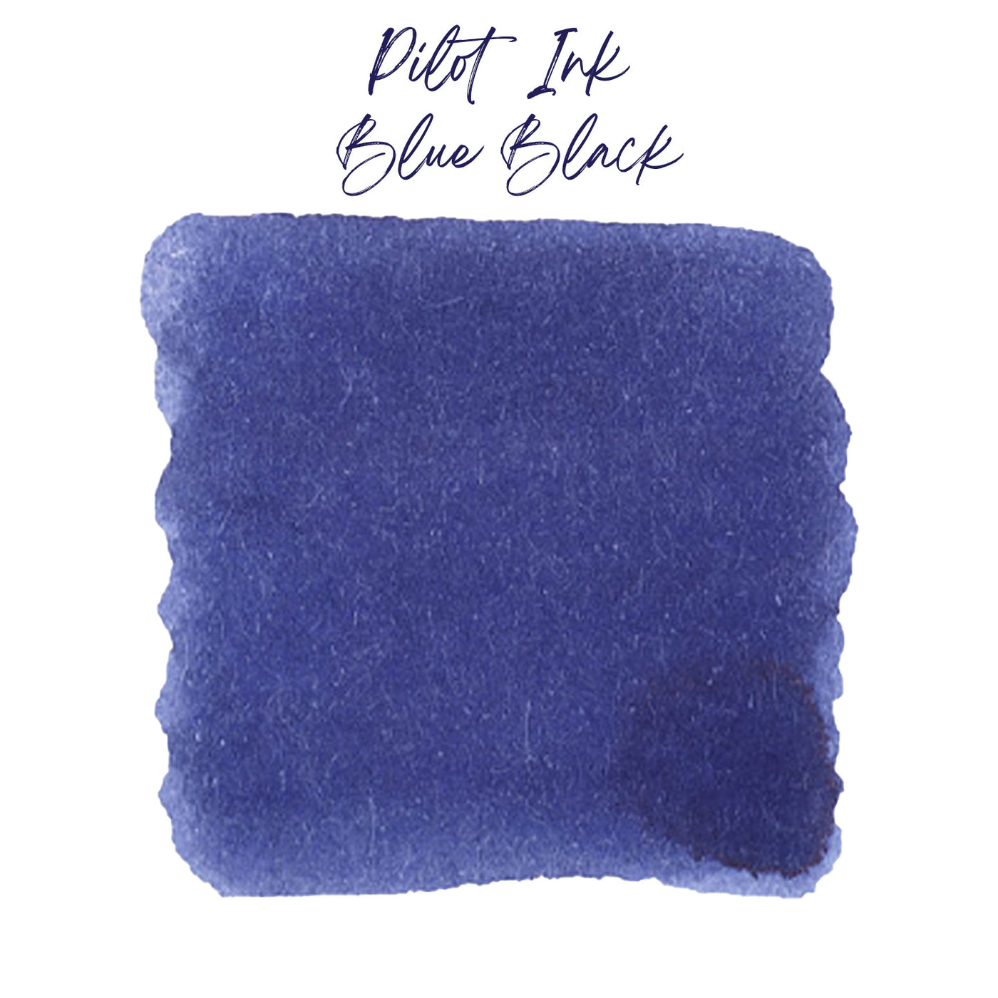 Pilot Blue Black Ink Bottle - 70ml 2