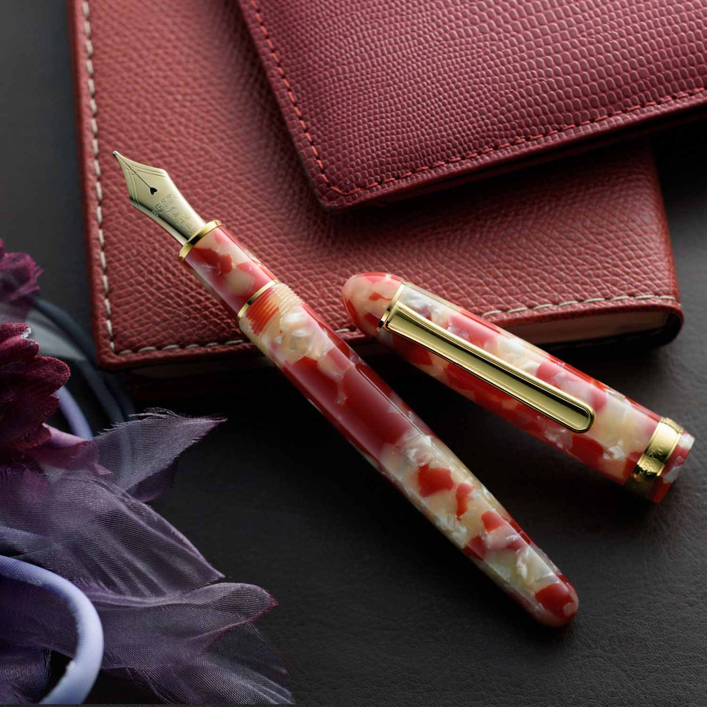 Platinum 3776 Century Fountain Pen - Celluloid Koi 4