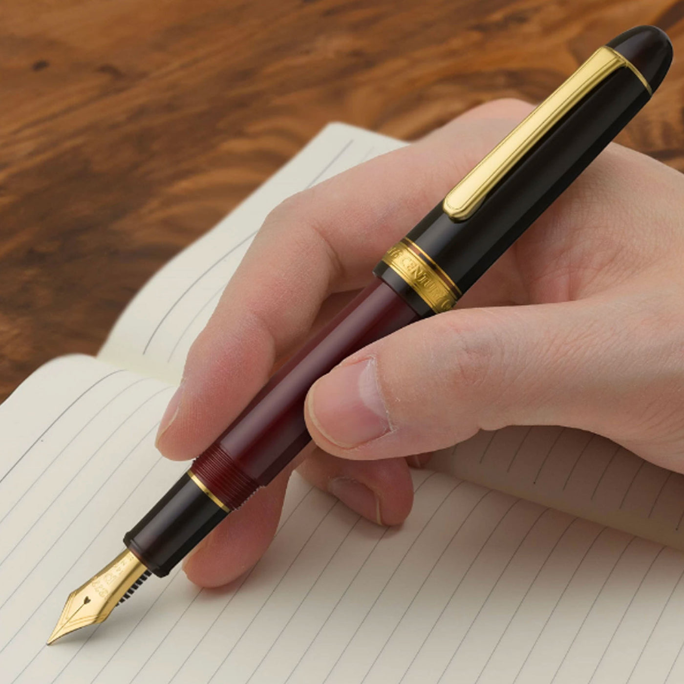 Buy Platinum Coffee Jelly Fountain Pen | Platinum 3776 Century Pens ...