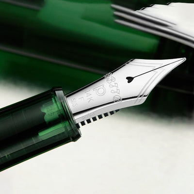 Platinum 3776 Century Fountain Pen - Kasumi (Limited Edition) 10