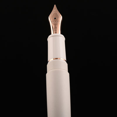 Platinum 3776 Century Shape of Heart Fountain Pen - Bluebird (Limited Edition) 12