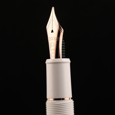 Platinum 3776 Century Shape of Heart Fountain Pen - Bluebird (Limited Edition) 13