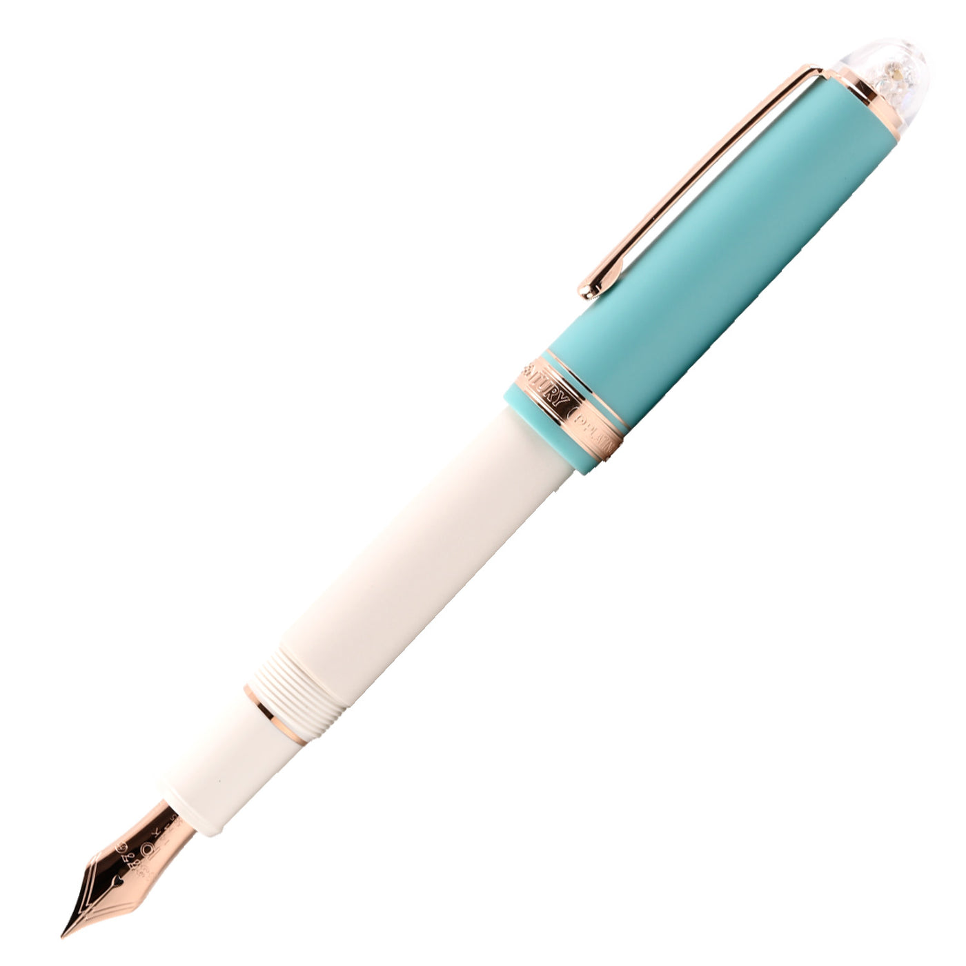Platinum 3776 Century Shape of Heart Fountain Pen - Bluebird (Limited Edition) 1