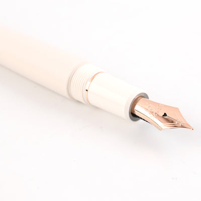 Platinum 3776 Century Shape of Heart Fountain Pen - Bluebird (Limited Edition) 4