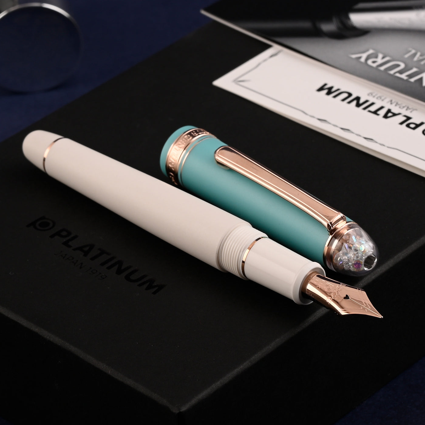 Platinum 3776 Century Shape of Heart Fountain Pen - Bluebird (Limited Edition) 8