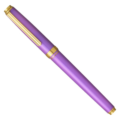 Platinum Biso Fountain Pen - Mystic Purple GT (Limited Edition)