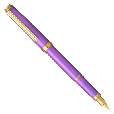 Platinum Biso Fountain Pen - Mystic Purple GT (Limited Edition)