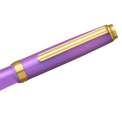 Platinum Biso Fountain Pen - Mystic Purple GT (Limited Edition)
