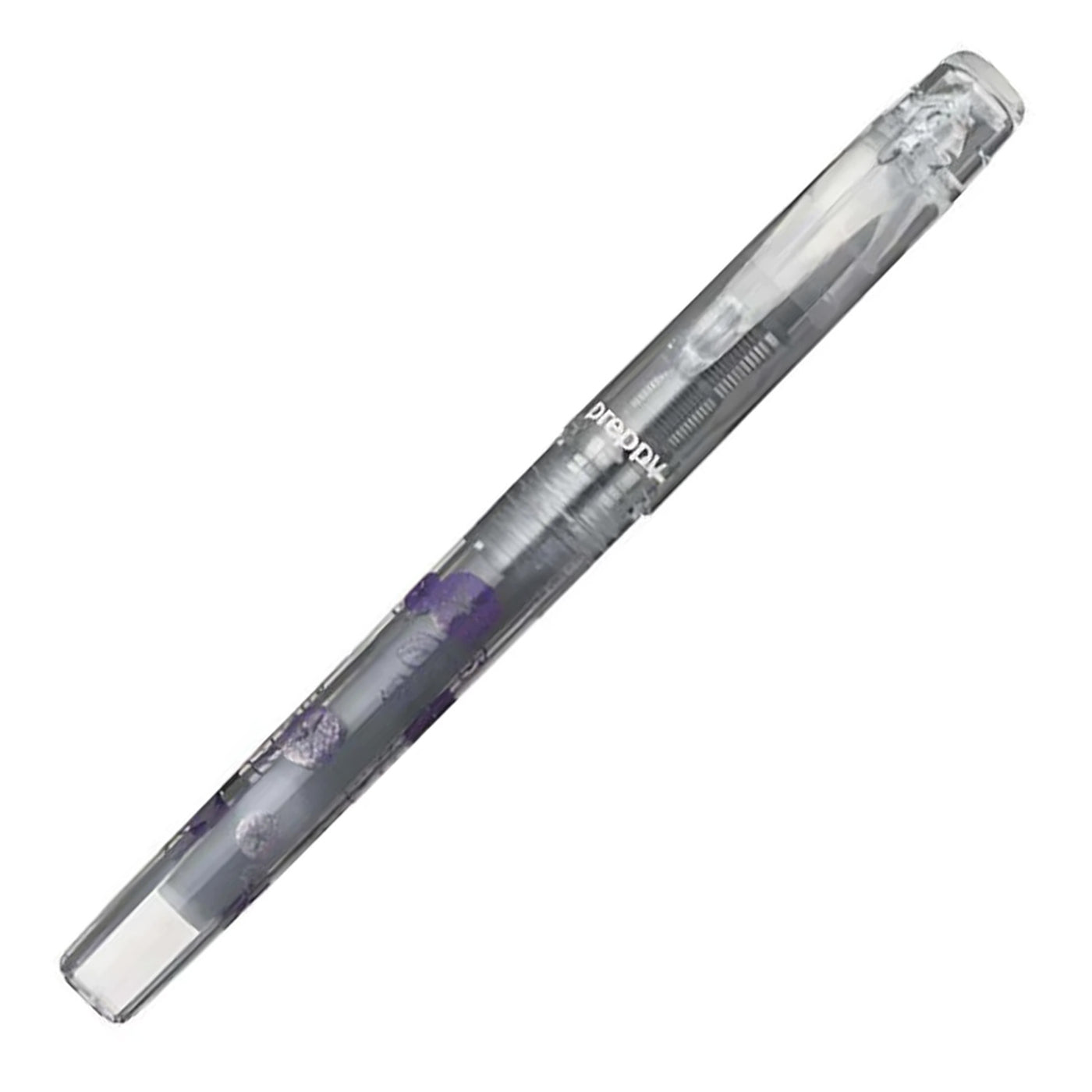 Platinum Preppy Wa Modern Maki-e Fountain Pen - Asagao (Limited Edition) 1