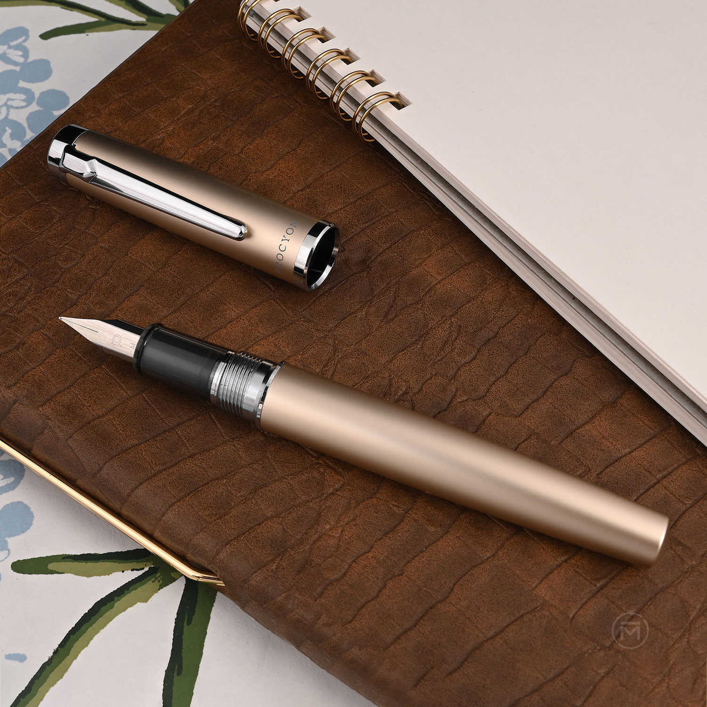 Platinum Procyon Fountain Pen - Luster Champagne Gold 8