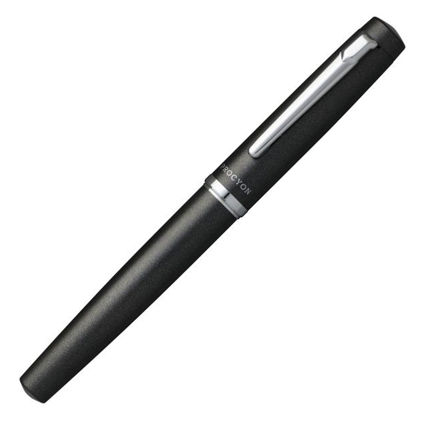Platinum Procyon Fountain Pen - Shadow Mica