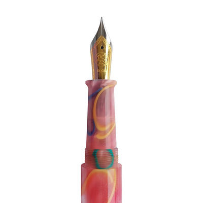 Ranga Pens Model 4C Regular Acrylic Fountain Pen Pink With Colored Rings 3