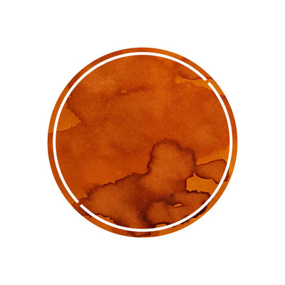Robert Oster Signature Ink Burned Orange - 50ml 1