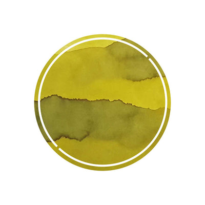 Robert Oster Signature Ink Chartreuse - 50ml 1