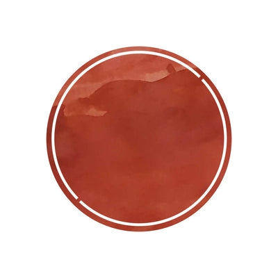 Robert Oster Signature Ink Clay Red - 50ml 1