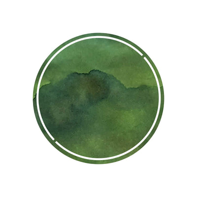 Robert Oster Signature Ink Moss - 50ml 1