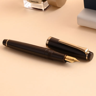 Sailor Lecoule Fountain Pen - Pale Brown 8