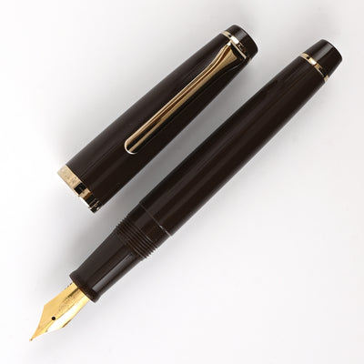 Sailor Lecoule Fountain Pen - Pale Brown 2