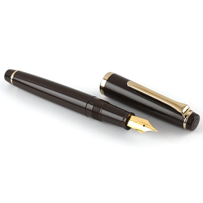 Sailor Lecoule Fountain Pen - Pale Brown 3