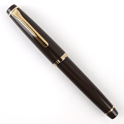 Sailor Lecoule Fountain Pen - Pale Brown 7