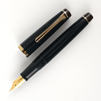 Sailor Lecoule Fountain Pen - Teal Green 2