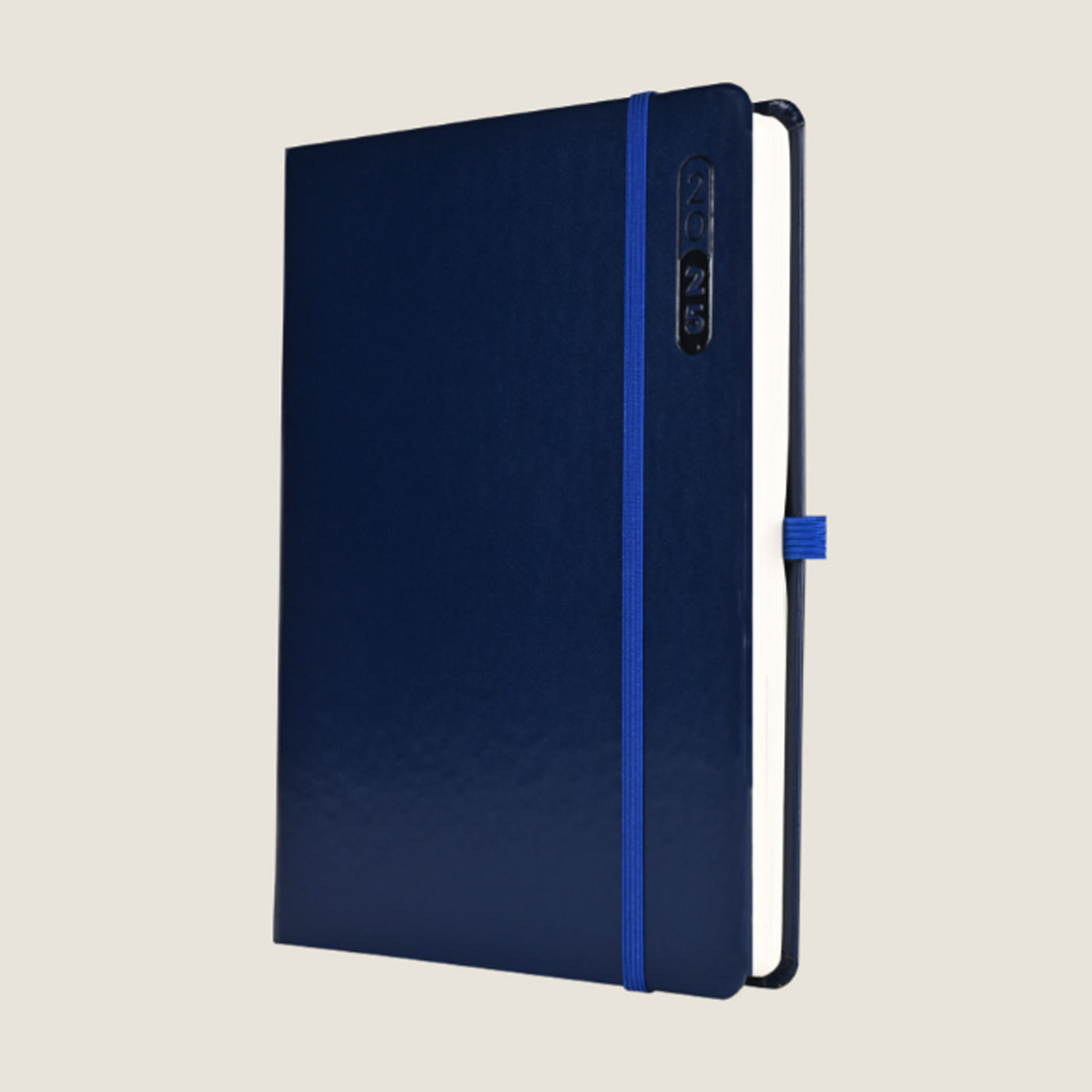 Scholar Essential 2025 A5 Daily Planner - Blue 2