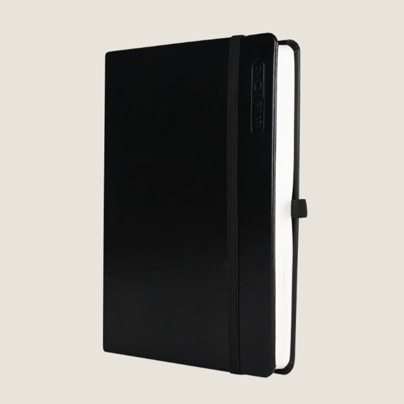 Scholar Essential 2025 B5 Daily Planner - Black 2