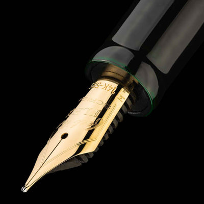 Scribo Piuma Tamenuri 14K Fountain Pen - Hane Kuro & Gold (Limited Edition)