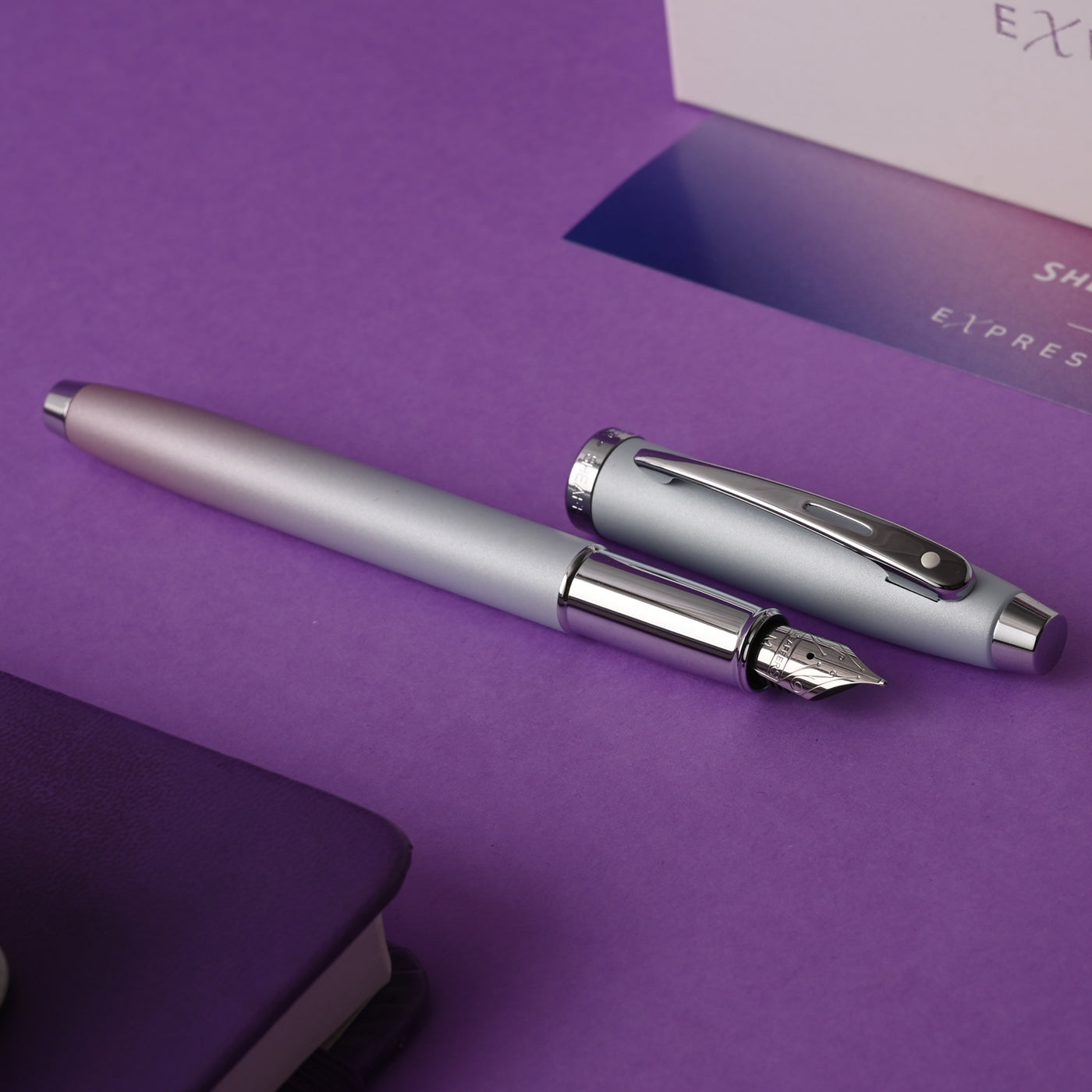 Sheaffer Expressions 100 Fountain Pen - Blue & Pink Pearlised Gradient CT 8