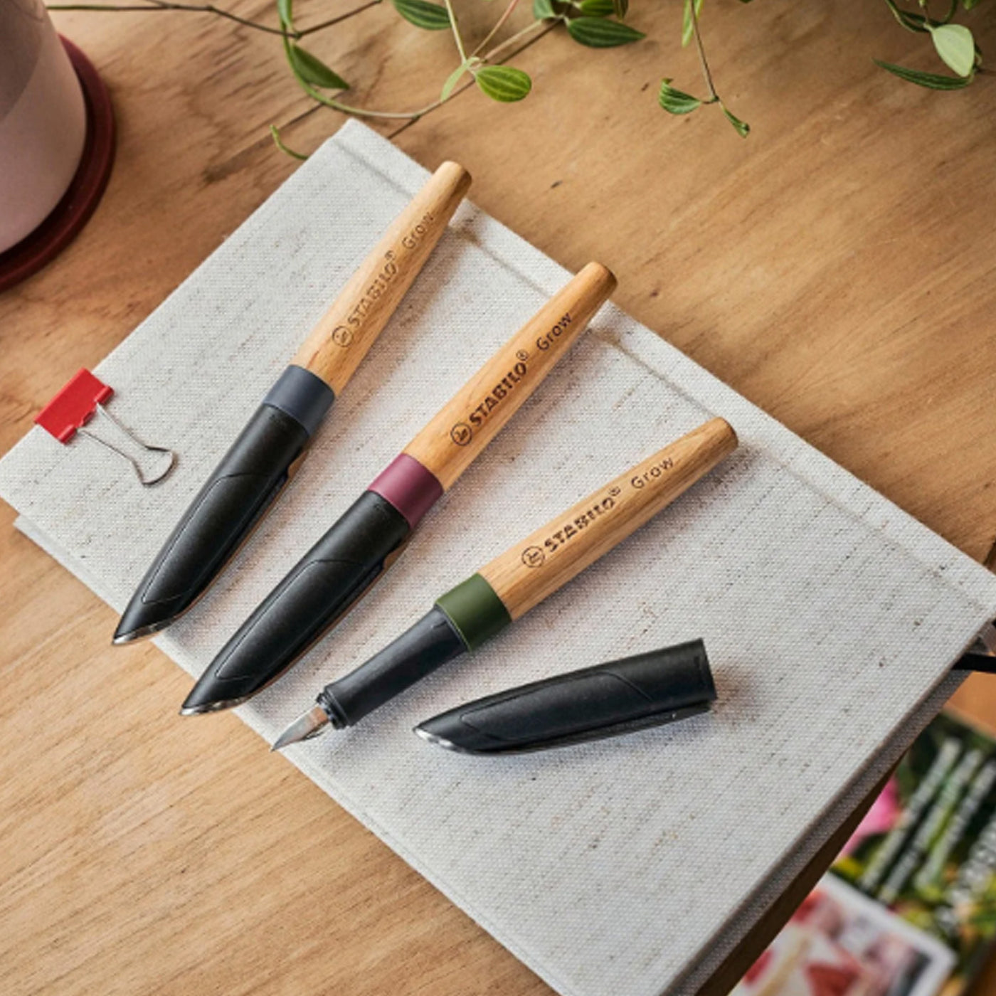 Stabilo Grow Fountain Pen - Blueberry Blue & Beech