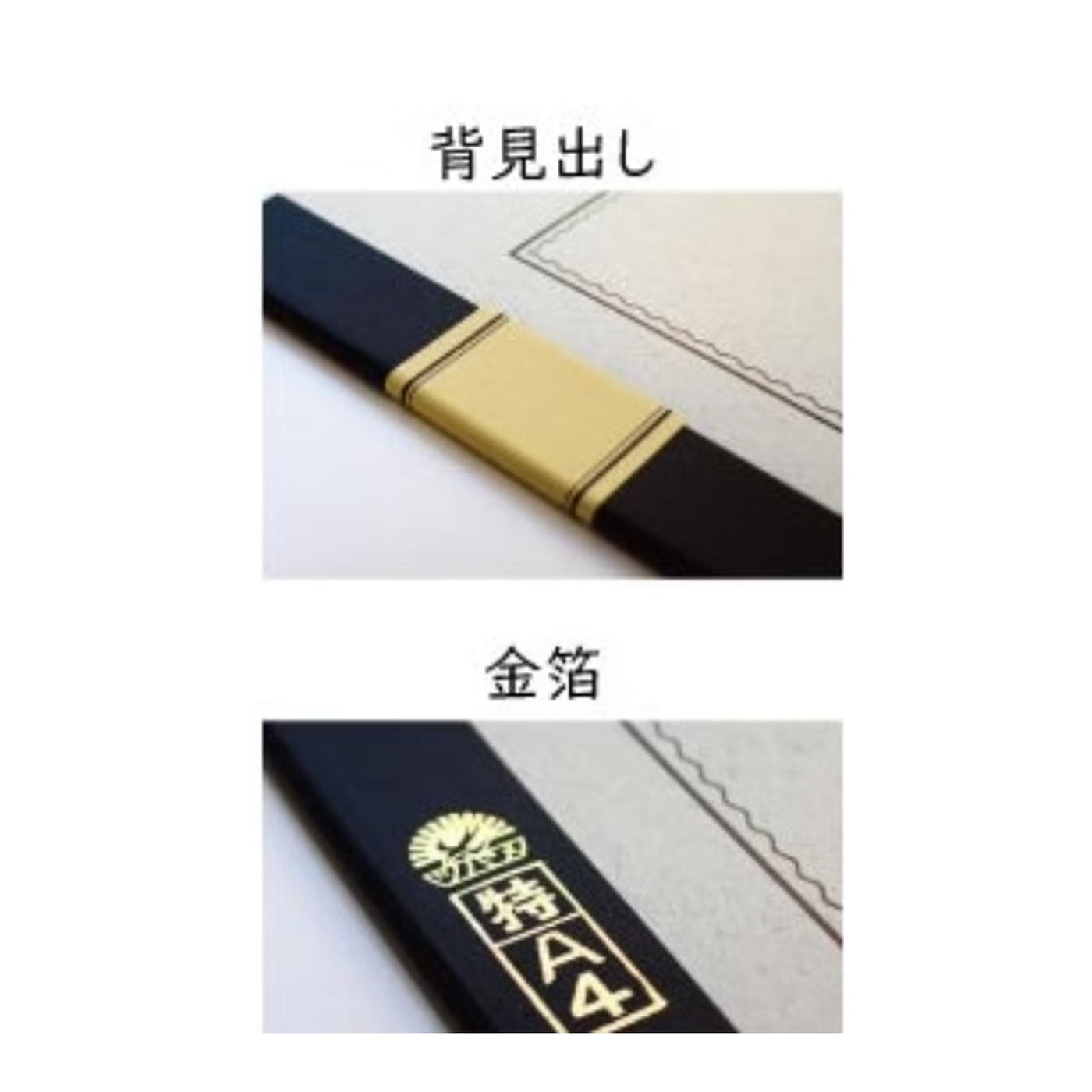 Tsubame A5005 White 8mm Line Notebook - A4+ - Ruled