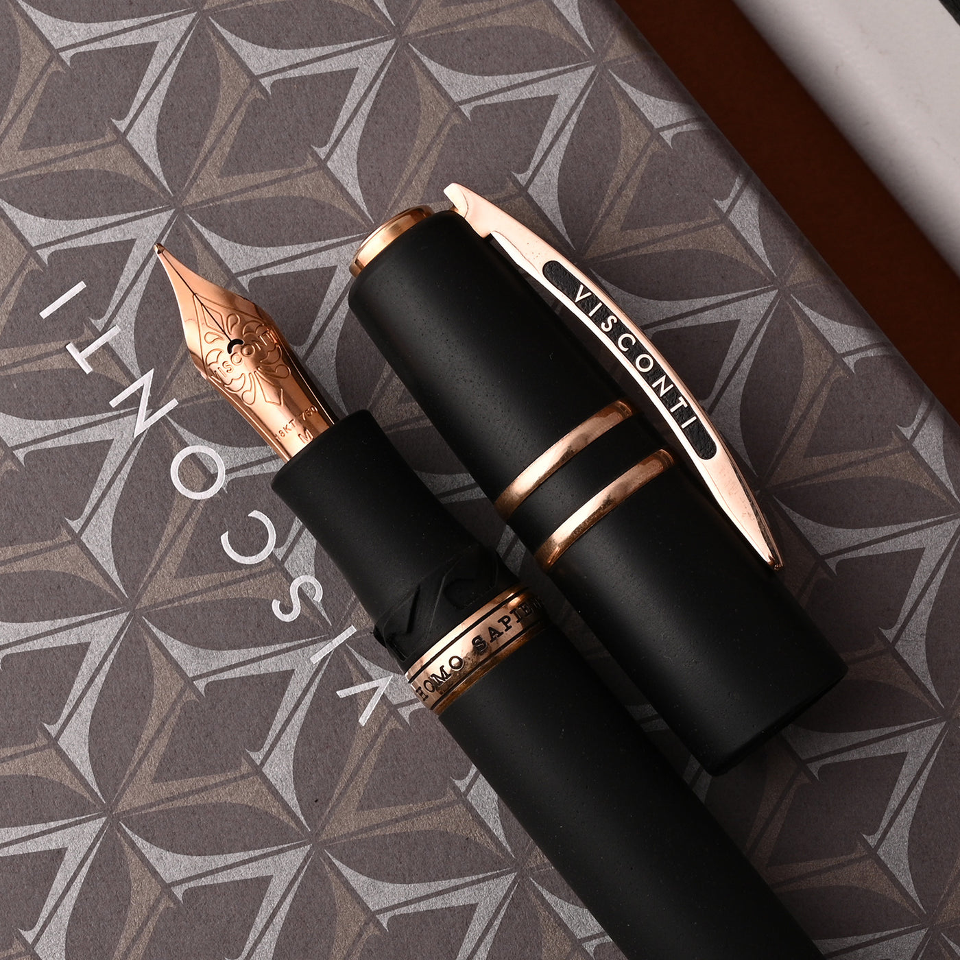 Visconti Homo Sapiens 14K Gold Fountain Pen - Bronze Age 5