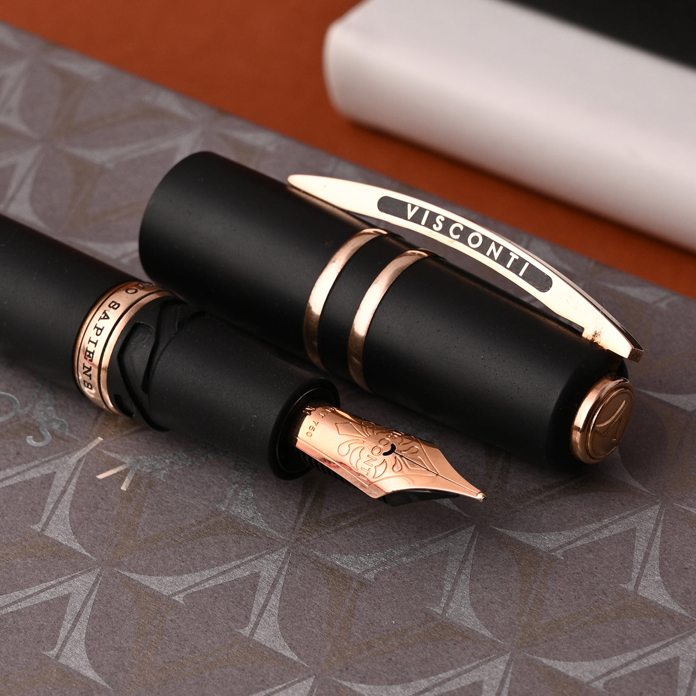 Visconti Homo Sapiens 14K Gold Fountain Pen - Bronze Age 6