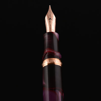 Visconti Homo Sapiens Fountain Pen - Iris Garden (Limited Edition) 17