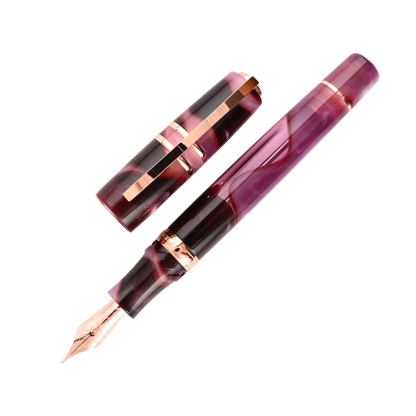 Visconti Homo Sapiens Fountain Pen - Iris Garden (Limited Edition) 1