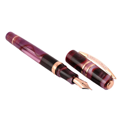 Visconti Homo Sapiens Fountain Pen - Iris Garden (Limited Edition) 2