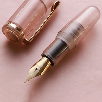 Wancher PuChiCo Fountain Pen - Frosty Sepia GT 7