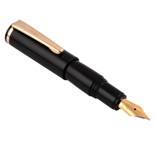 Wancher PuChiCo Fountain Pen - Penguin Black GT