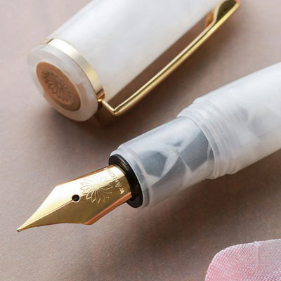 Wancher PuChiCo Fountain Pen - White Snow GT 3