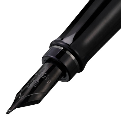 Waterman Expert Fountain Pen - Metallic Black RT 2