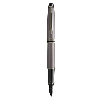 Waterman Expert Fountain Pen - Metallic Silver RT 5