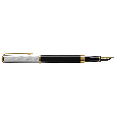 Waterman Exception Fountain Pen - Reflections of Paris 5