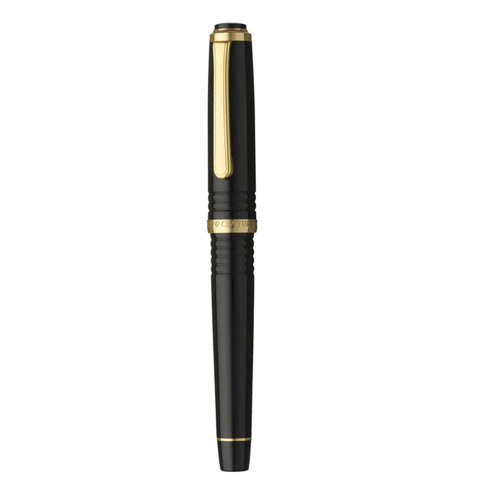 Platinum 3776 Century Decade Fountain Pen | Buy Online