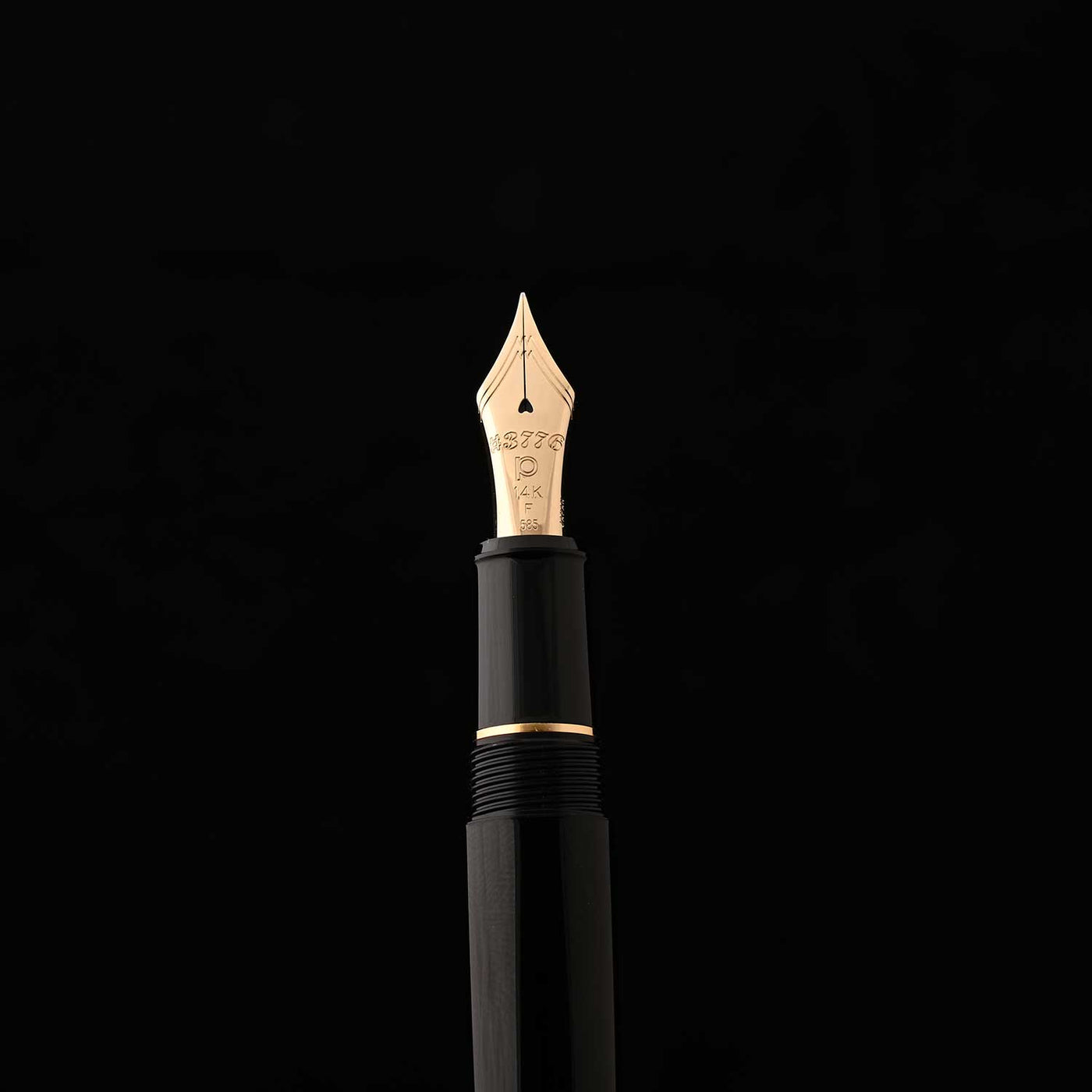 Platinum 3776 Century Fountain Pen - Black in Black 13