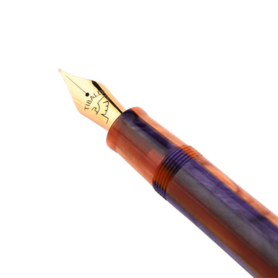 Tibaldi Bononia Fountain Pen - Seilan Purple GT 2